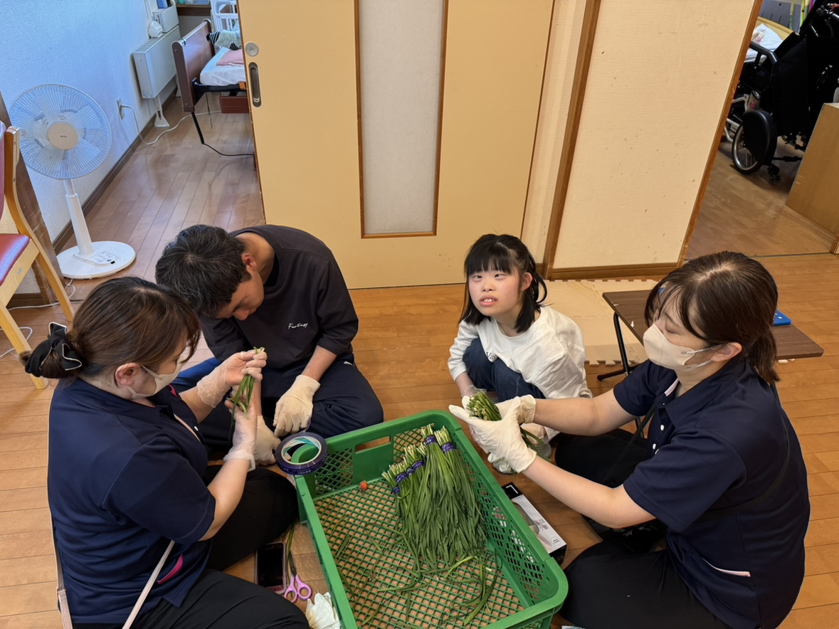 やまねこ農園の畑の風景