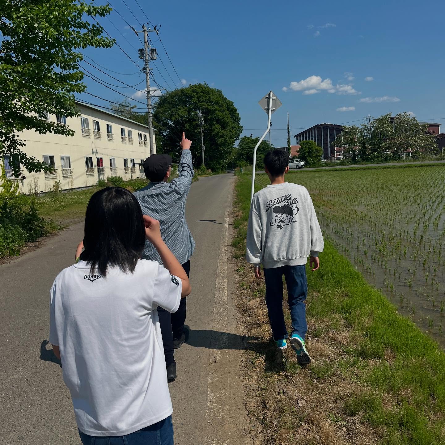 田んぼ道を歩くやまねこの仲間