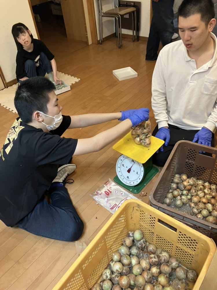 農園で育った野菜