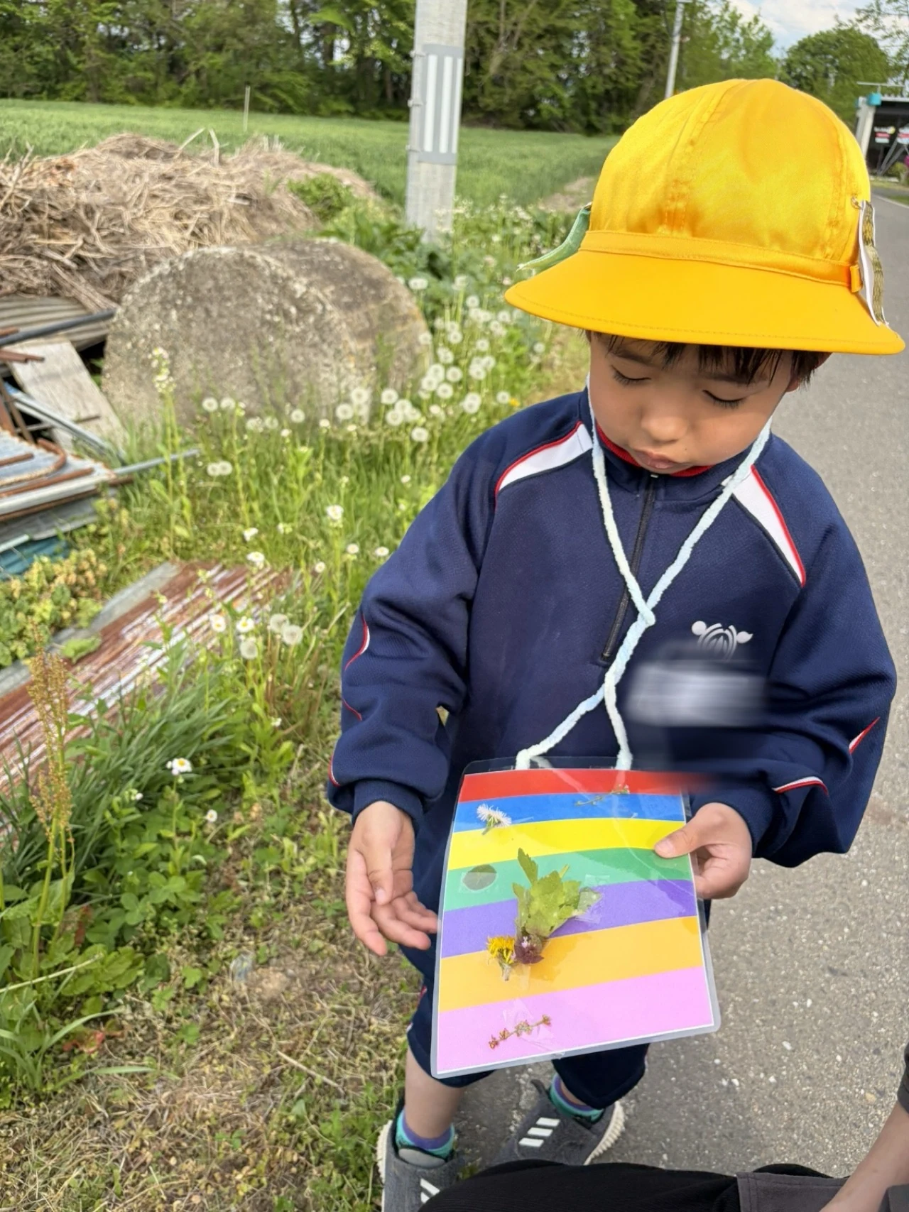 散歩で見つけたものを手にする子ども